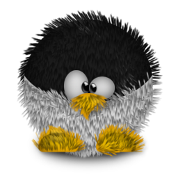 penguin pingouin pinguino 864